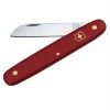 Victorinox Floral Blumenmesser - Rot